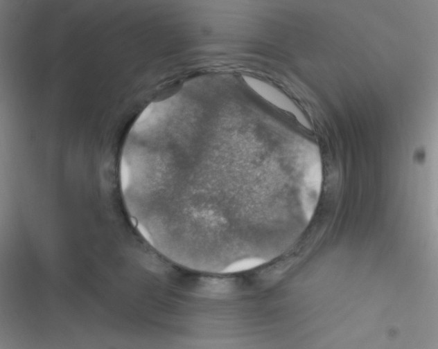 X0000116590469201001211330