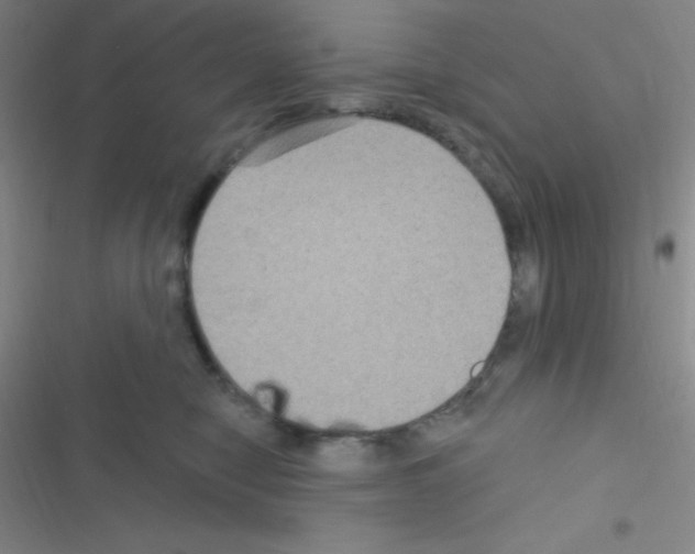 X0000116590470201001211330