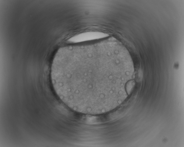 X0000116590472201001211330