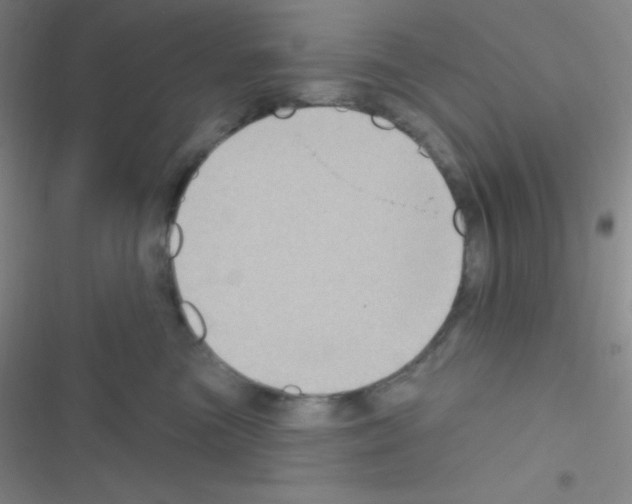 X0000116590473201001211330