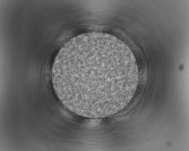 X0000116590474201001211330