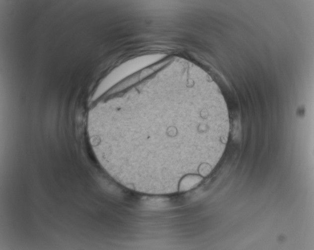 X0000116590476201001211330