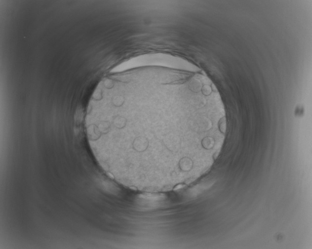 X0000116590480201001211330