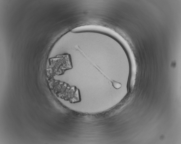 X0000116590481201001211329