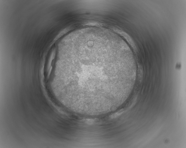 X0000116590482201001211329