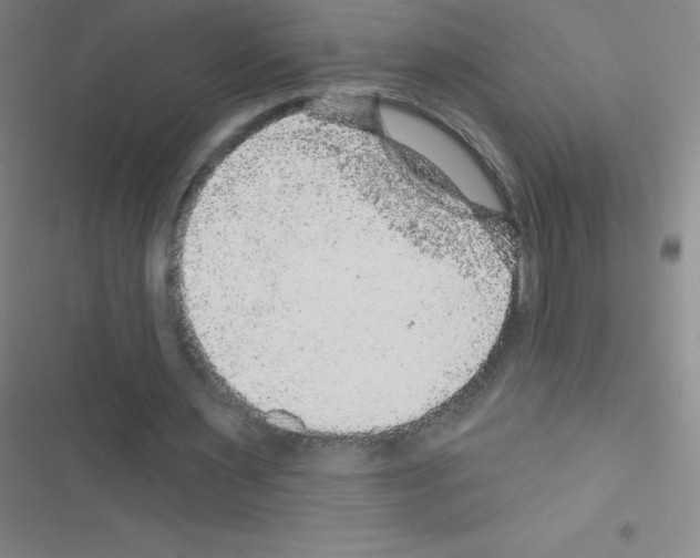 X0000116590483201001211329