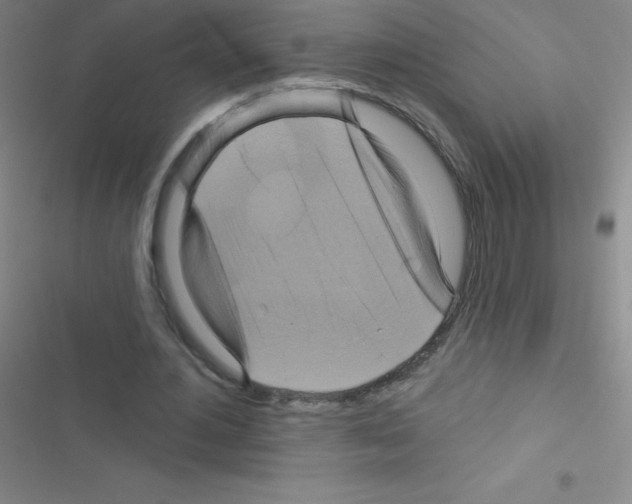 X0000116590484201001211329