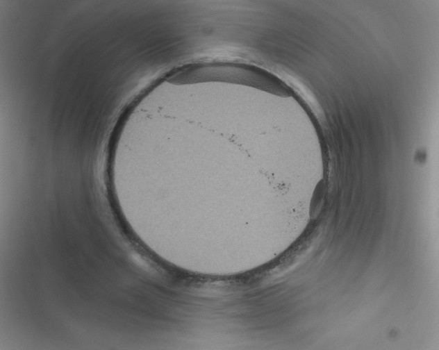 X0000116590485201001211329