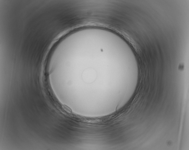 X0000116590488201001211329