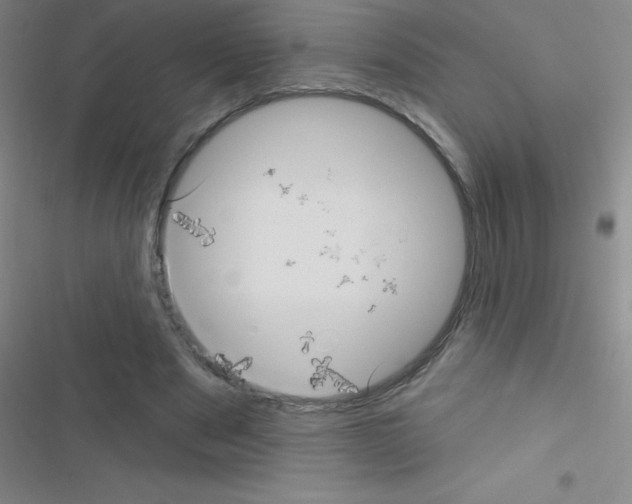 X0000116590489201001211329