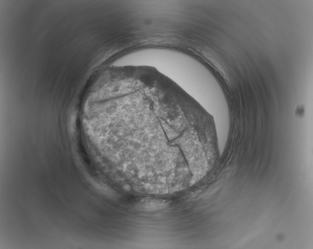 X0000116590491201001211329