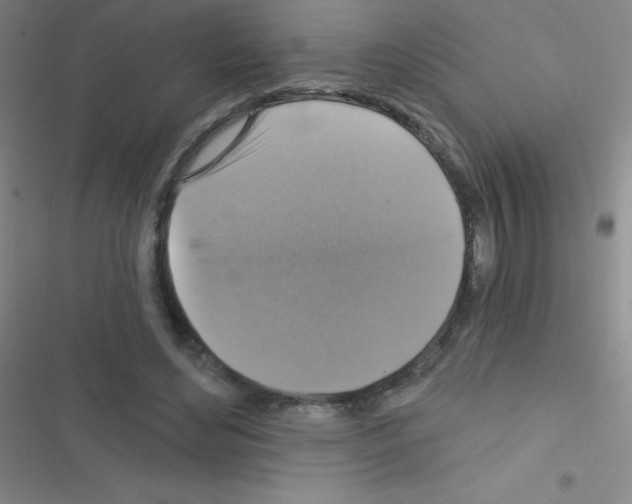 X0000116590492201001211329