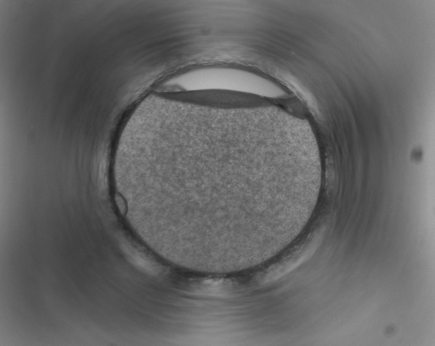 X0000116590493201001211329