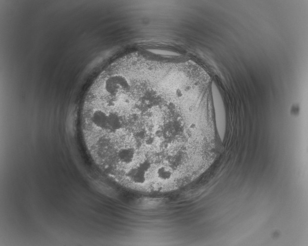 X0000116590495201001211329