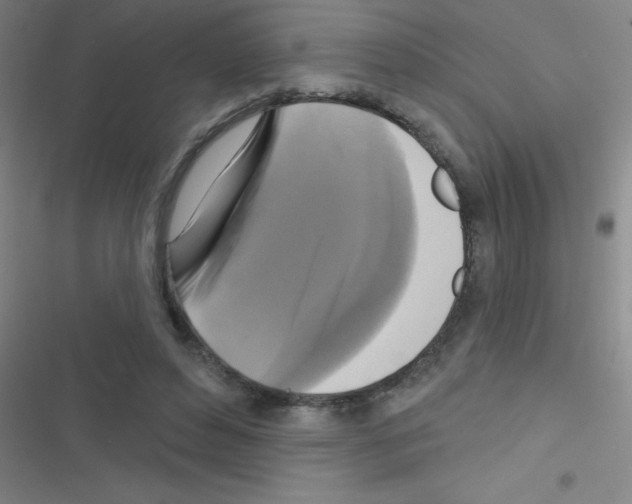 X0000116590496201001211329