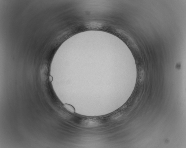 X0000116590498201001211329