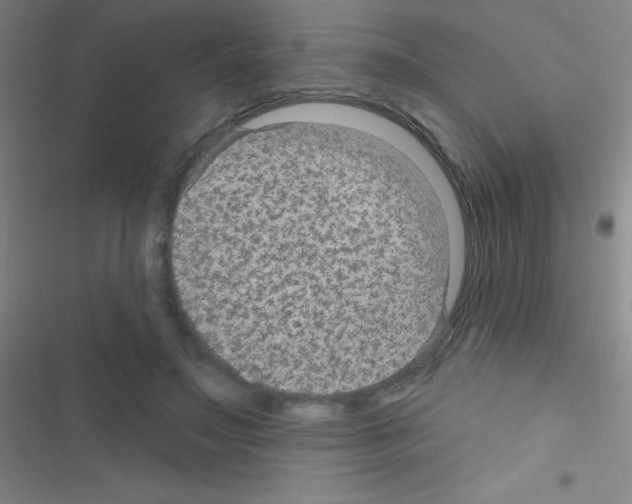 X0000116590499201001211329