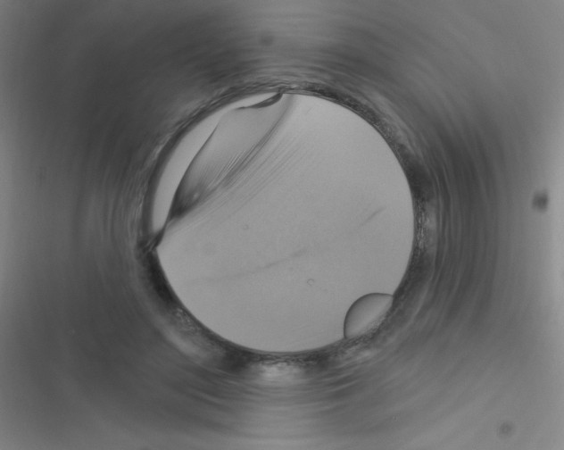 X0000116590500201001211329