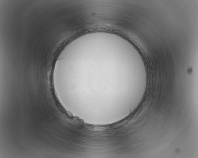 X0000116590501201001211329