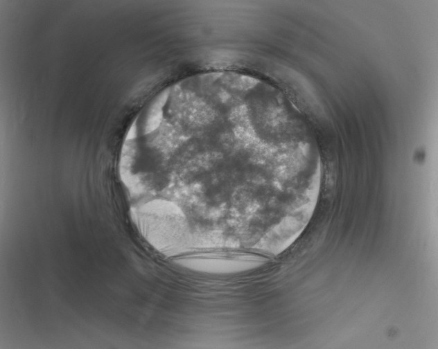 X0000116590503201001211329