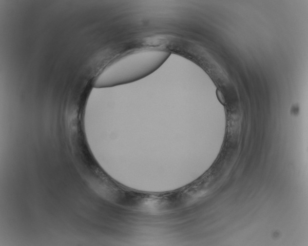 X0000116590504201001211329