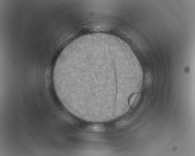 X0000116590506201001211329