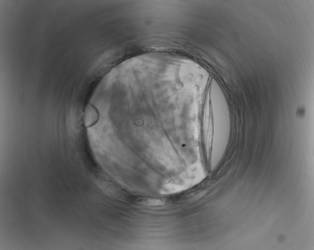 X0000116590507201001211329