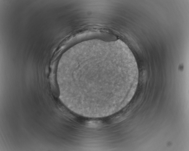 X0000116590508201001211329