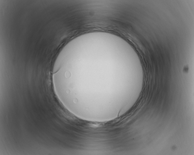 X0000116590509201001211329