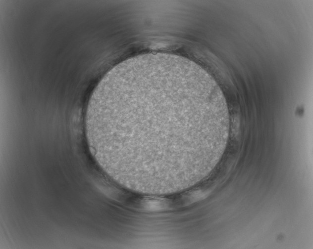 X0000116590510201001211329