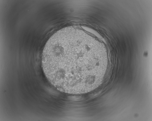 X0000116590511201001211329