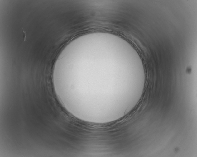 X0000116590513201001211329