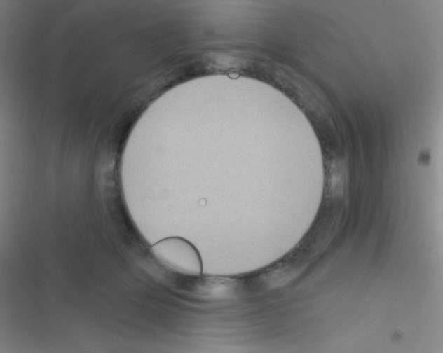 X0000116590514201001211329