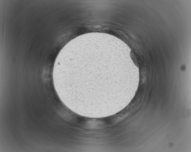 X0000116590515201001211329