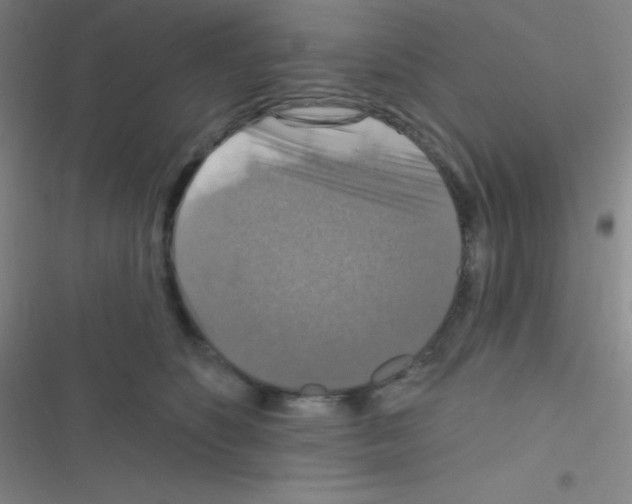 X0000116590516201001211329