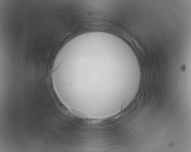 X0000116590517201001211329