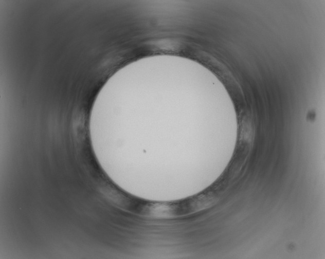 X0000116590518201001211329