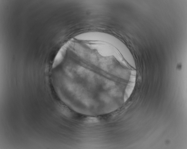 X0000116590519201001211329