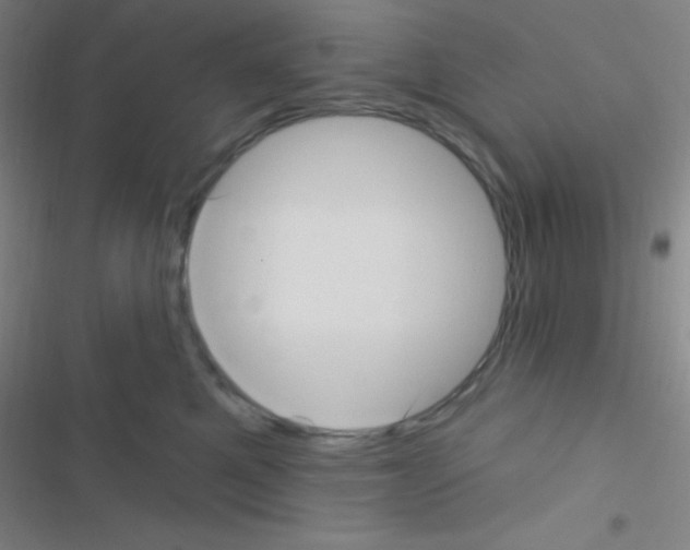 X0000116590521201001211329