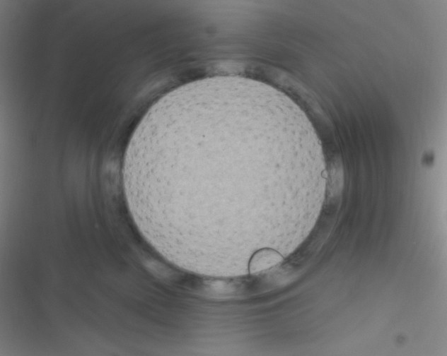 X0000116590522201001211329