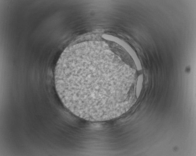 X0000116590523201001211328