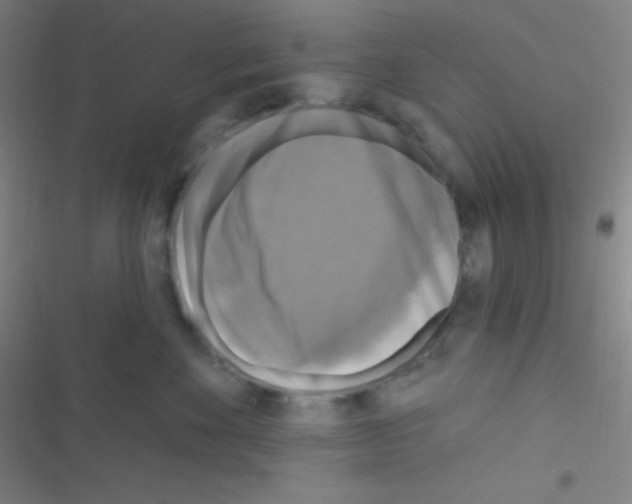 X0000116590524201001211328