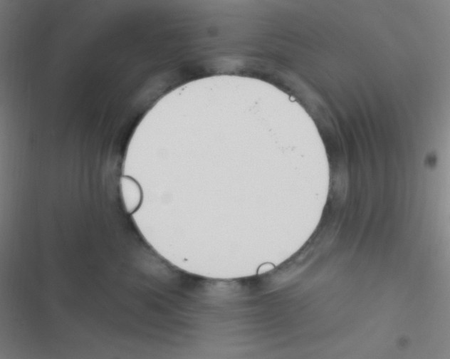 X0000116590525201001211328