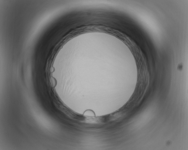 X0000116590526201001211328