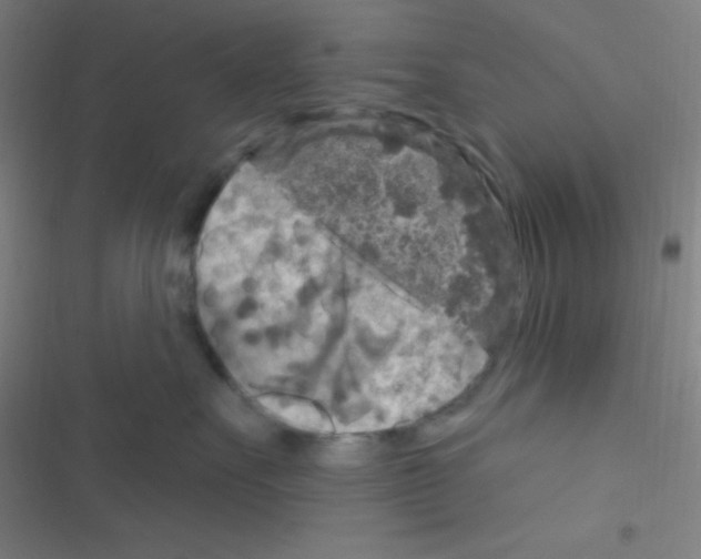 X0000116590527201001211328