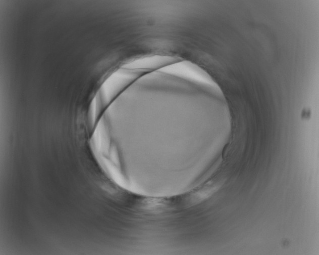 X0000116590528201001211328