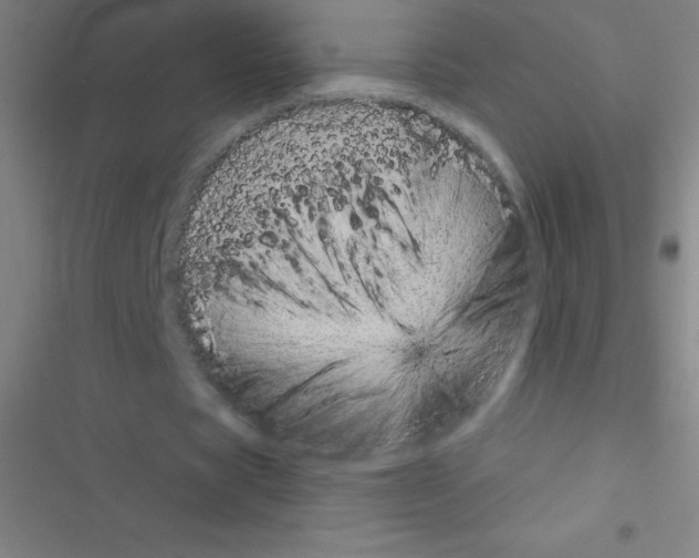 X0000116590529201001211328