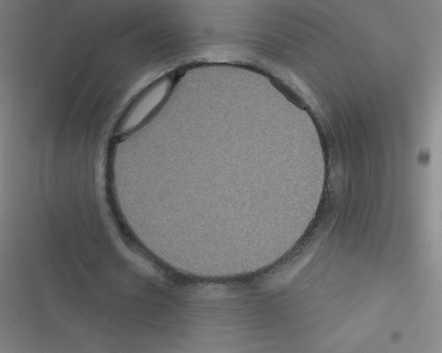 X0000116590530201001211328