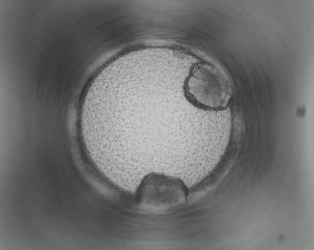 X0000116590533201001211328