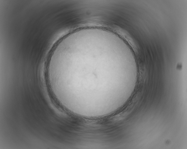 X0000116590534201001211328